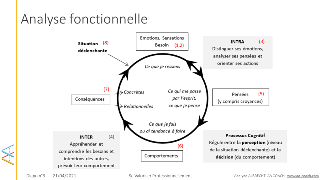 Analyse fonctionnelle