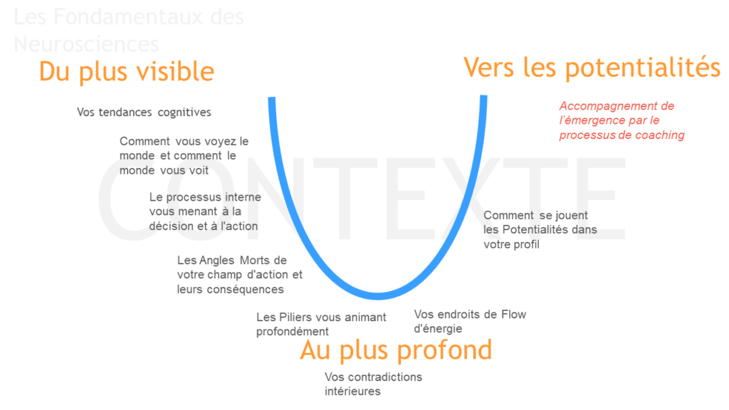 Les Fondamentaux des Neurosciences Vos tendances cognitives Comment vous voyez le monde et comment le monde vous voit Le processus interne vous menant à la décision et à l'action Les Angles Morts de votre champ d'action et leurs conséquences Les Piliers vous animant profondément Vos contradictions intérieures Vos endroits de Flow d'énergie Comment se jouent les Potentialités dans votre profil